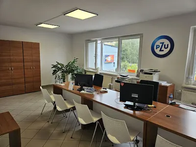 PZU Ubezpieczenia Mysłowice - Agent Irena Tylek